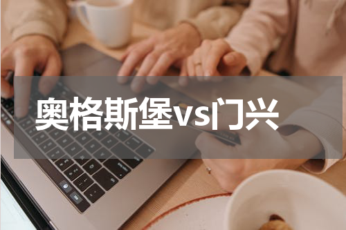 奥格斯堡vs门兴