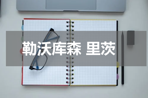 勒沃库森 里茨