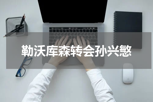 勒沃库森转会孙兴慜