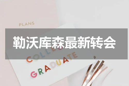 勒沃库森最新转会