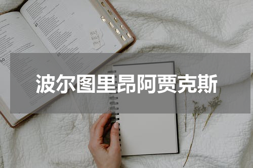 波尔图里昂阿贾克斯
