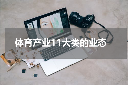 体育产业11大类的业态