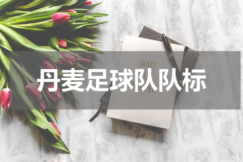 丹麦足球队队标