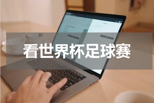 看世界杯足球赛