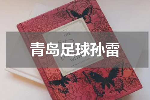 青岛足球孙雷