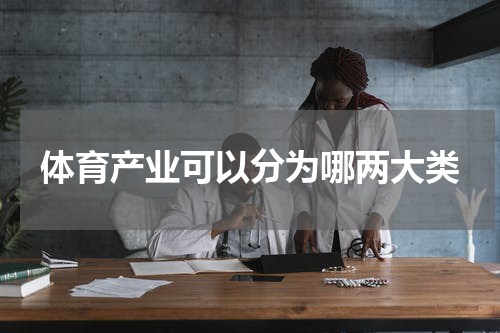 体育产业可以分为哪两大类
