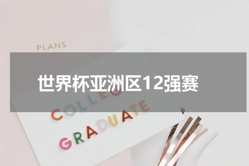 世界杯亚洲区12强赛