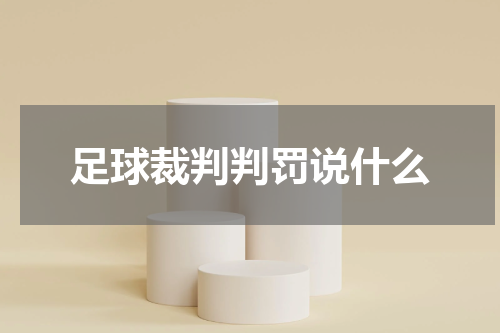 足球裁判判罚说什么
