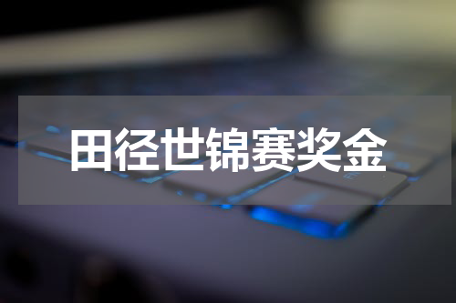 田径世锦赛奖金