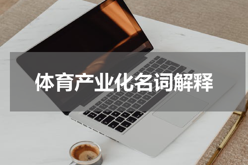 体育产业化名词解释