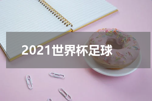 2021世界杯足球