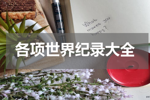 各项世界纪录大全