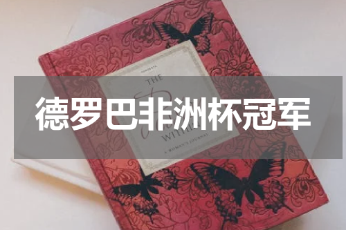 德罗巴非洲杯冠军