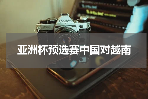 亚洲杯预选赛中国对越南