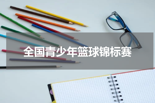 全国青少年篮球锦标赛