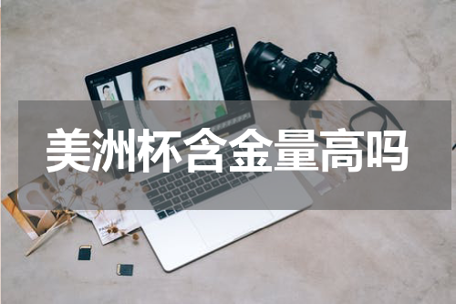 美洲杯含金量高吗