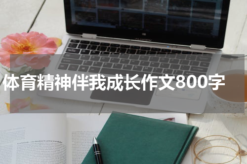 体育精神伴我成长作文800字