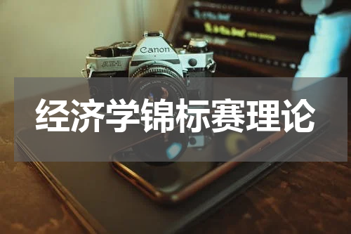 经济学锦标赛理论