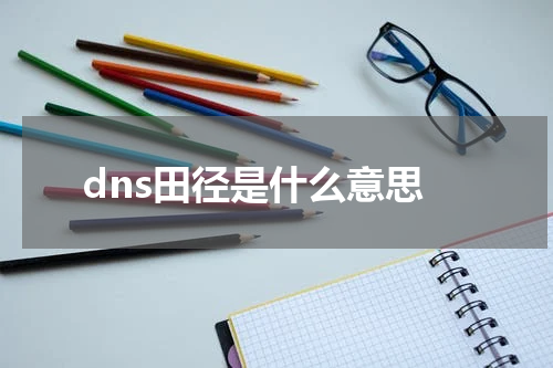 dns田径是什么意思