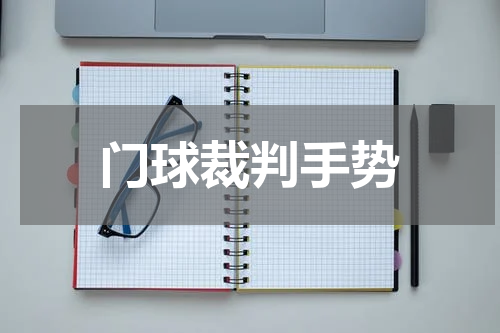 门球裁判手势