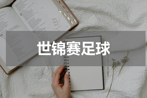 世锦赛足球