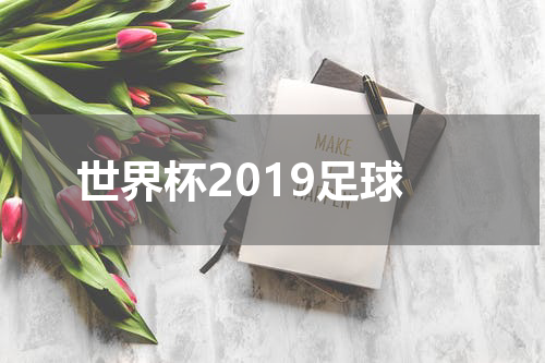 世界杯2019足球