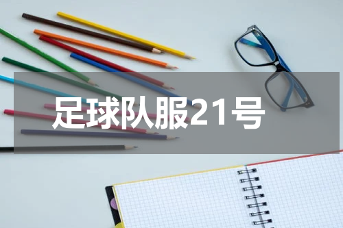足球队服21号