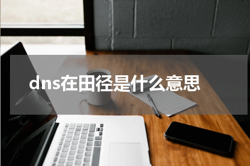 dns在田径是什么意思