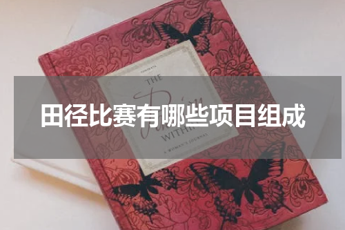 田径比赛有哪些项目组成