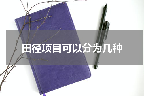 田径项目可以分为几种