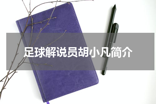 足球解说员胡小凡简介
