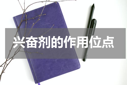 兴奋剂的作用位点