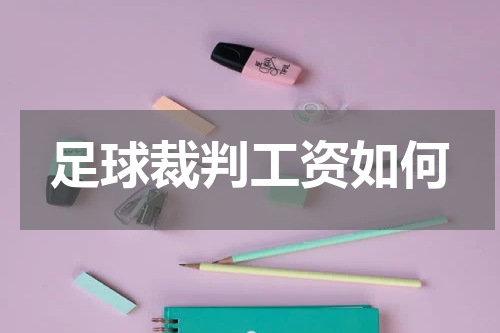 足球裁判工资如何