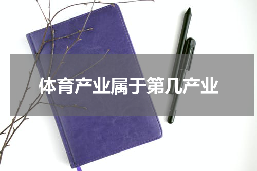 体育产业属于第几产业