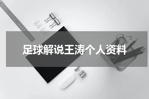 足球解说王涛个人资料
