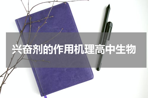 兴奋剂的作用机理高中生物