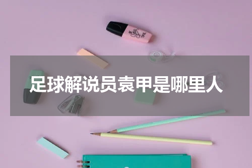 足球解说员袁甲是哪里人