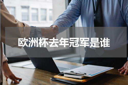 欧洲杯去年冠军是谁