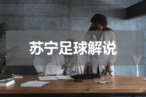 苏宁足球解说
