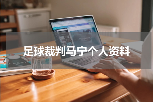 足球裁判马宁个人资料