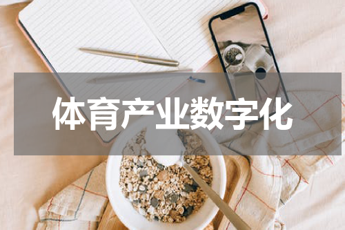 体育产业数字化