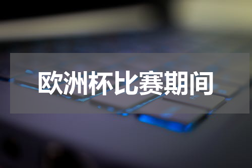 欧洲杯比赛期间
