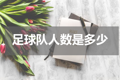 足球队人数是多少