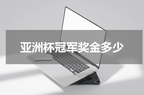亚洲杯冠军奖金多少