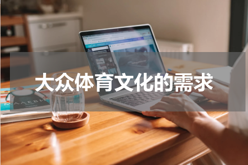 大众体育文化的需求