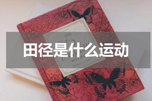田径是什么运动