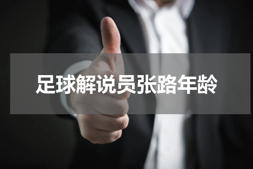 足球解说员张路年龄