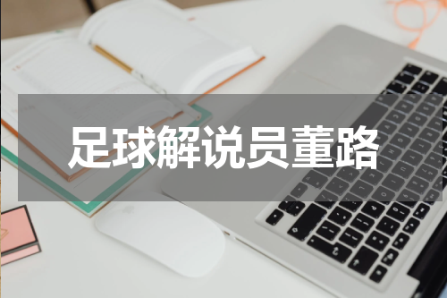 足球解说员董路