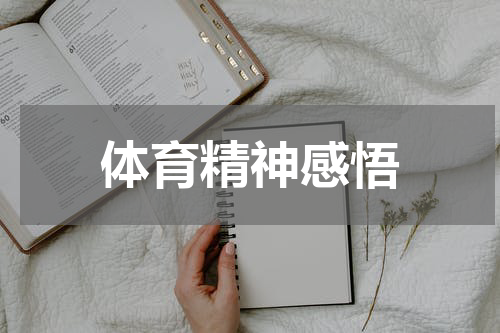 体育精神感悟