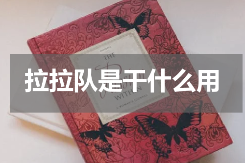拉拉队是干什么用